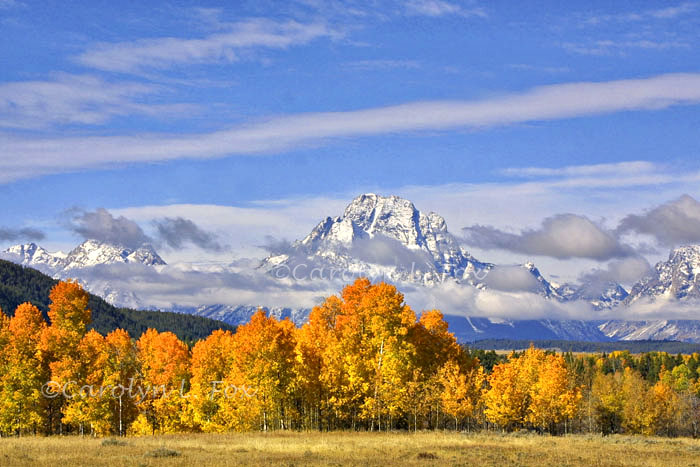 Mount Moran in the Fall