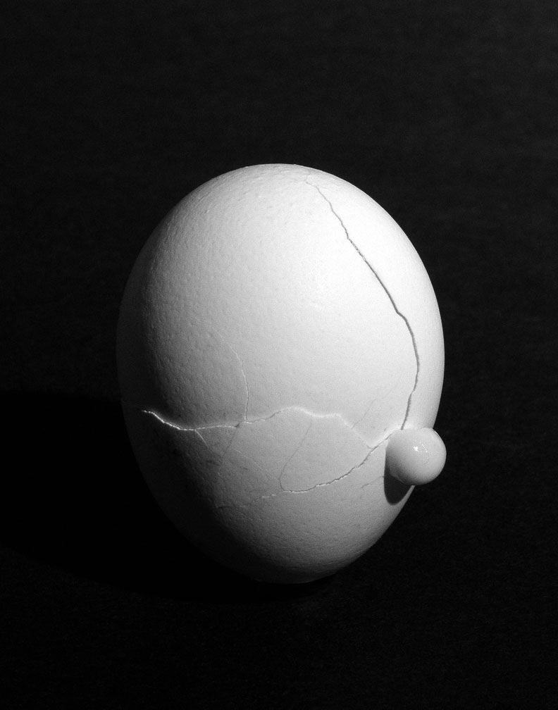 Eggscreation.jpg