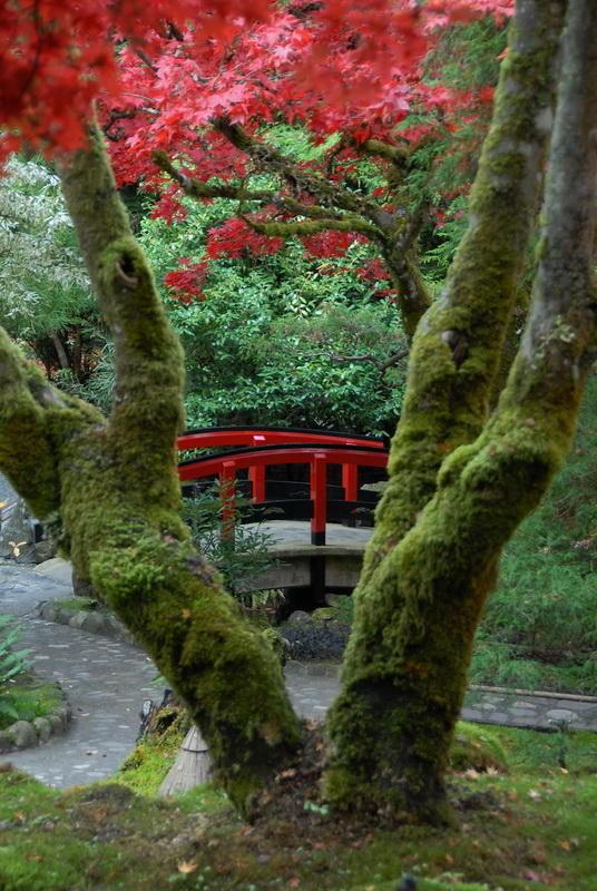 Japanese Garden
