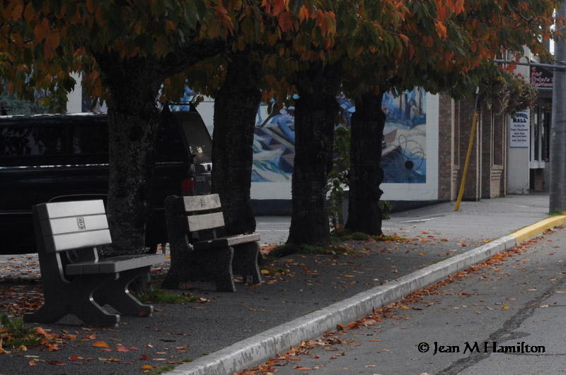 Tourist Free Street - JeanH