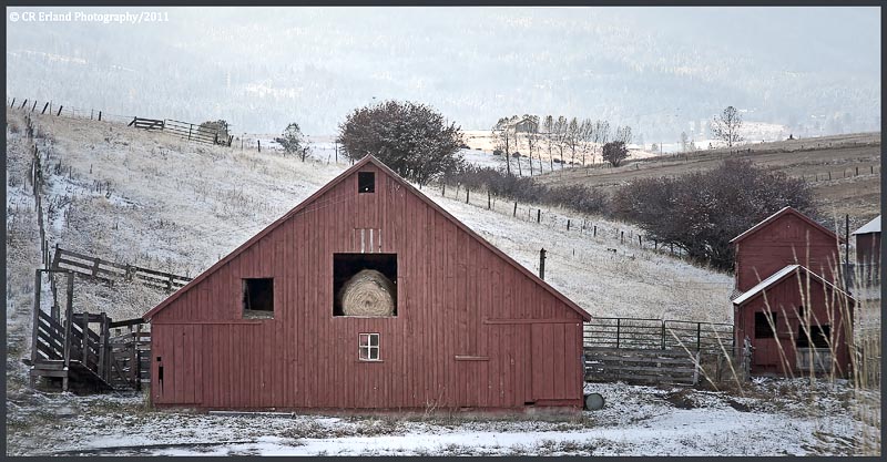 Dusted with Snow