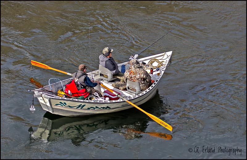 Steelhead Fishing