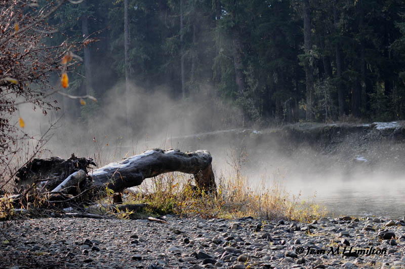 River Fog