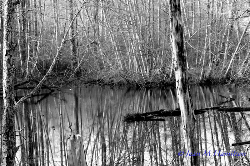 Reflecting Pool