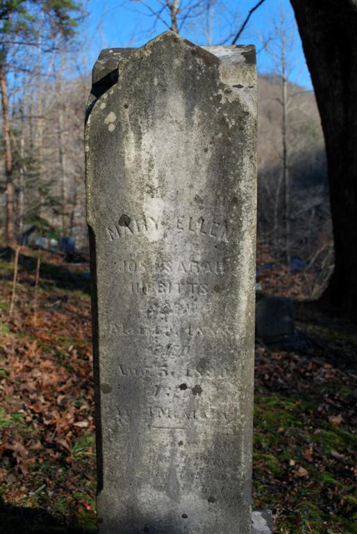 Mary Ellen Hibbitts