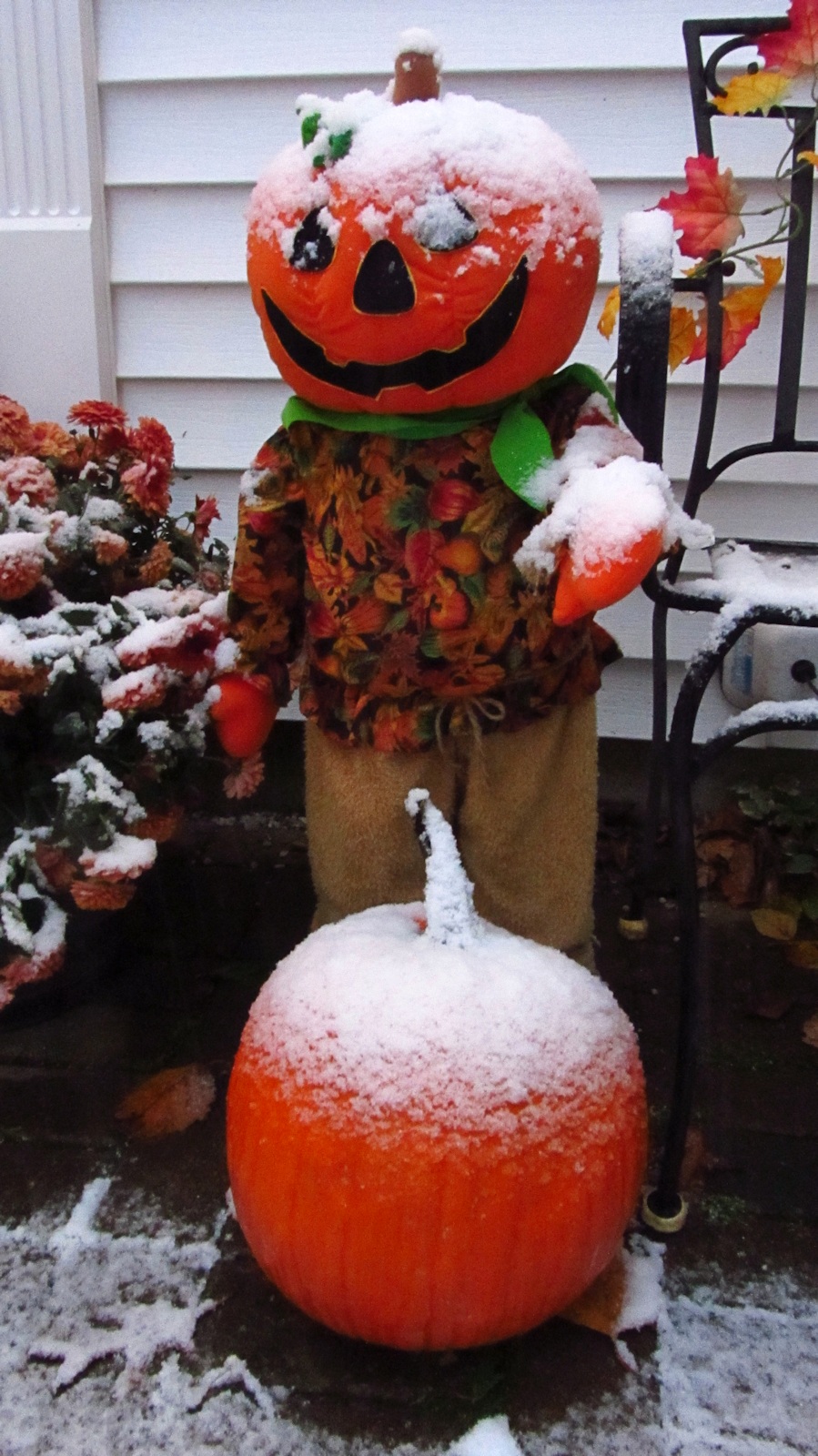 Halloween Decorations<BR>October 29, 2011