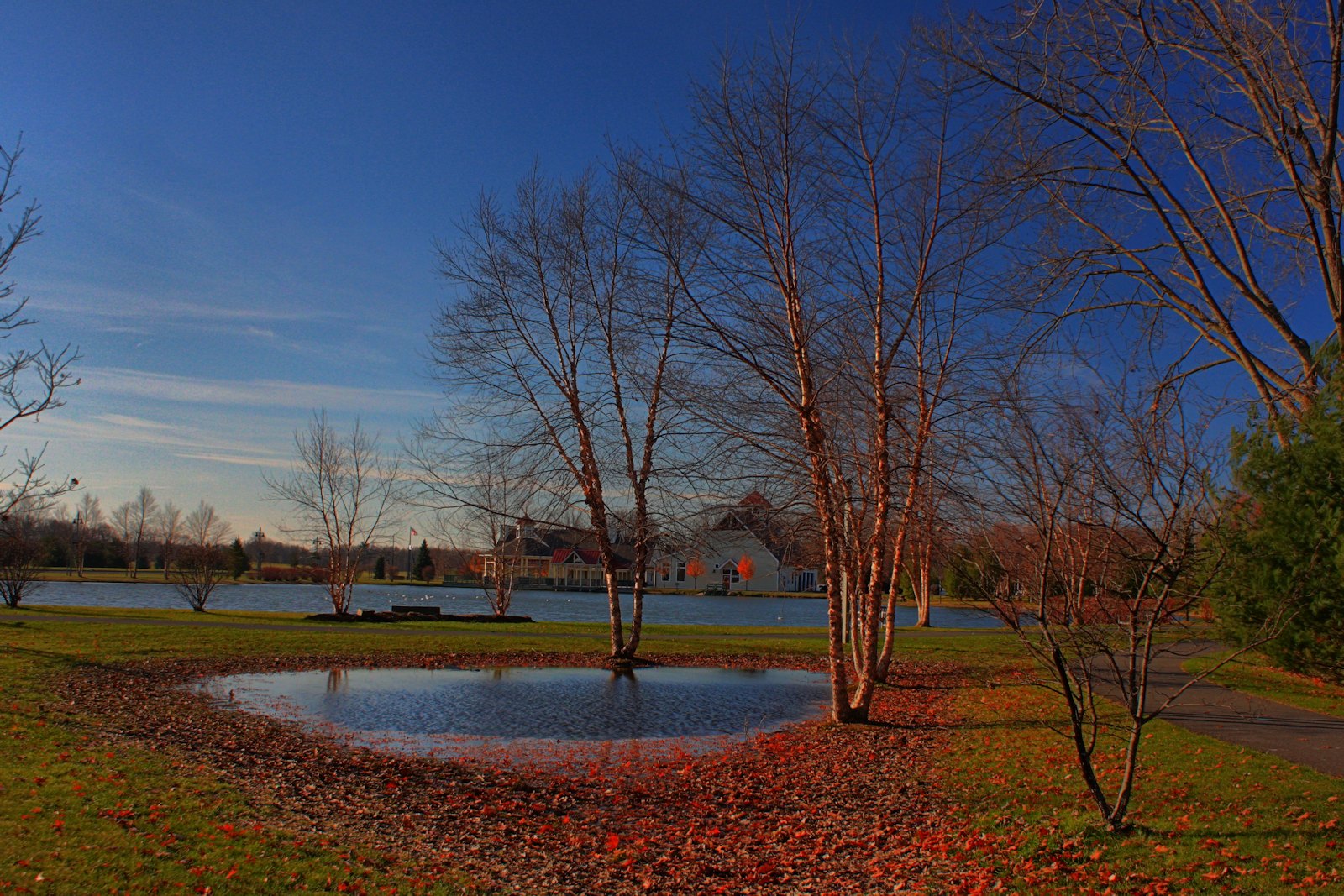 Late Autumn in HDR<BR>November 19, 2011