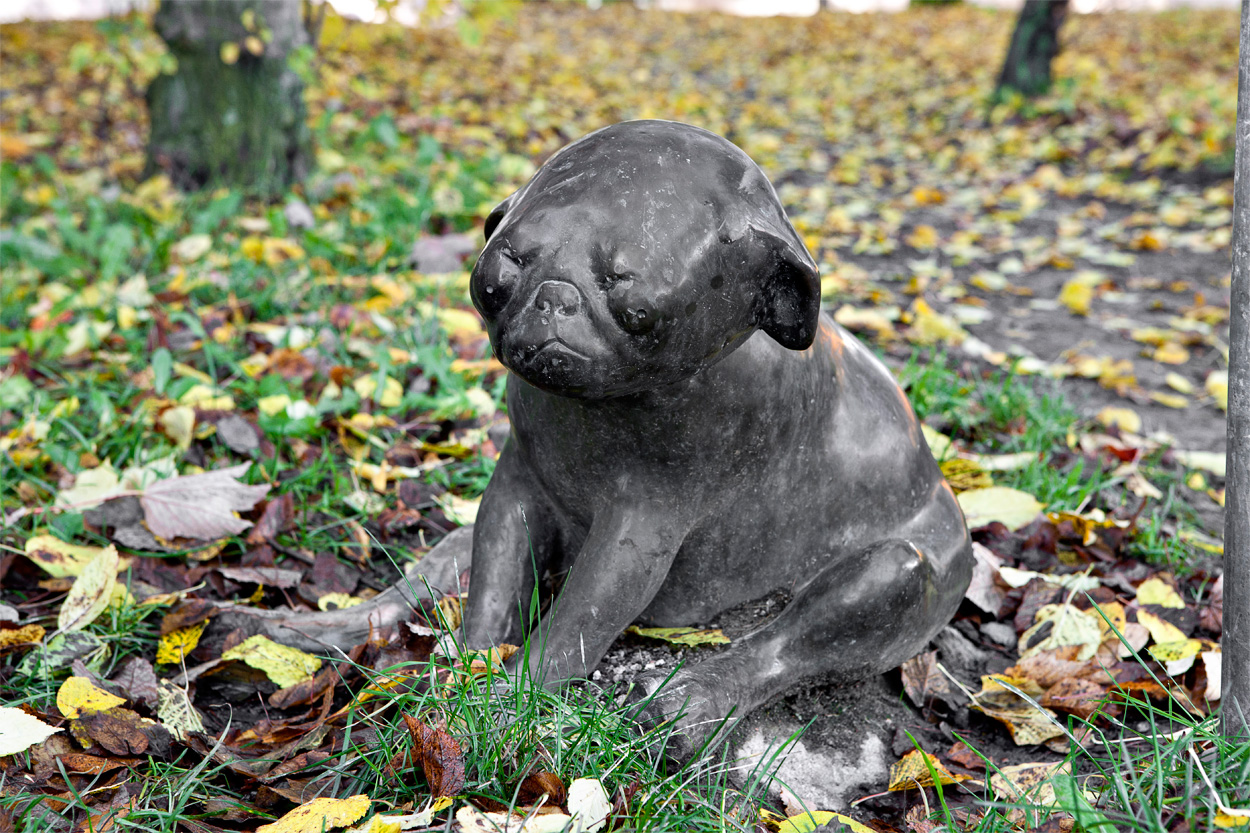 Hundskulpturen Valp i vrlden 1975 i Husby  WGS 84 (lat, lon):N 59 24.676, E 17 55.352