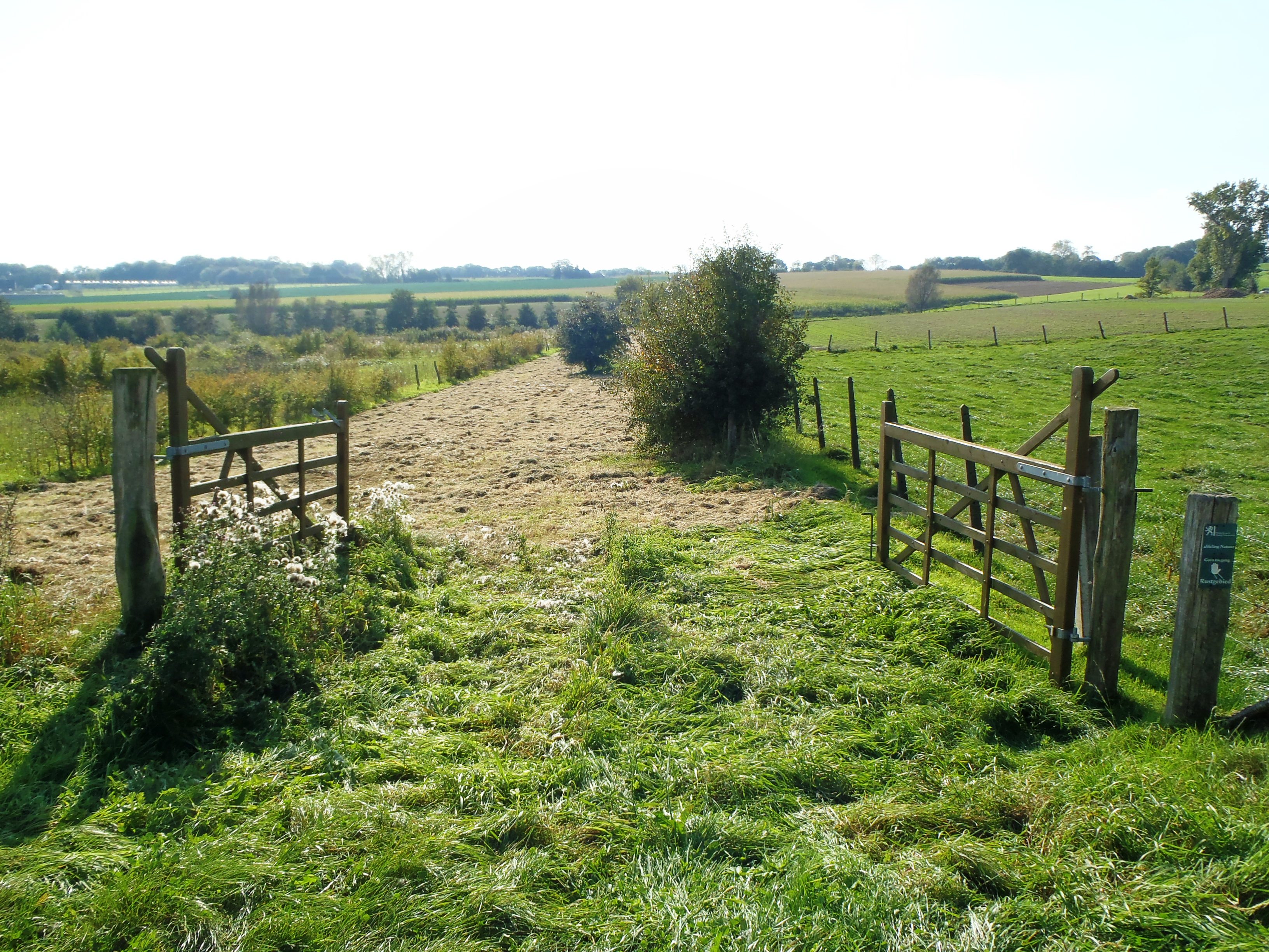 Open gates