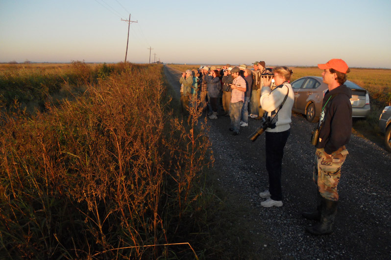 Donna Dittmann and Erik Johnson with an early morning field trip for sparrows.