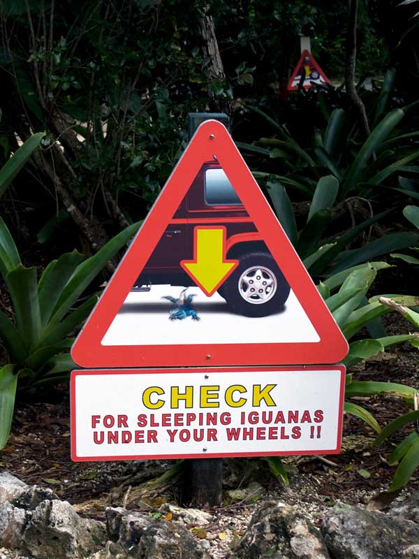Best Sign