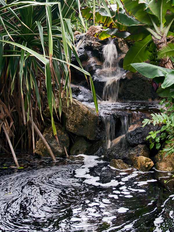 Botanical Garden