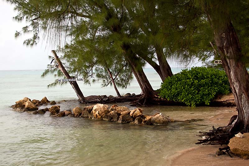 Rum Point