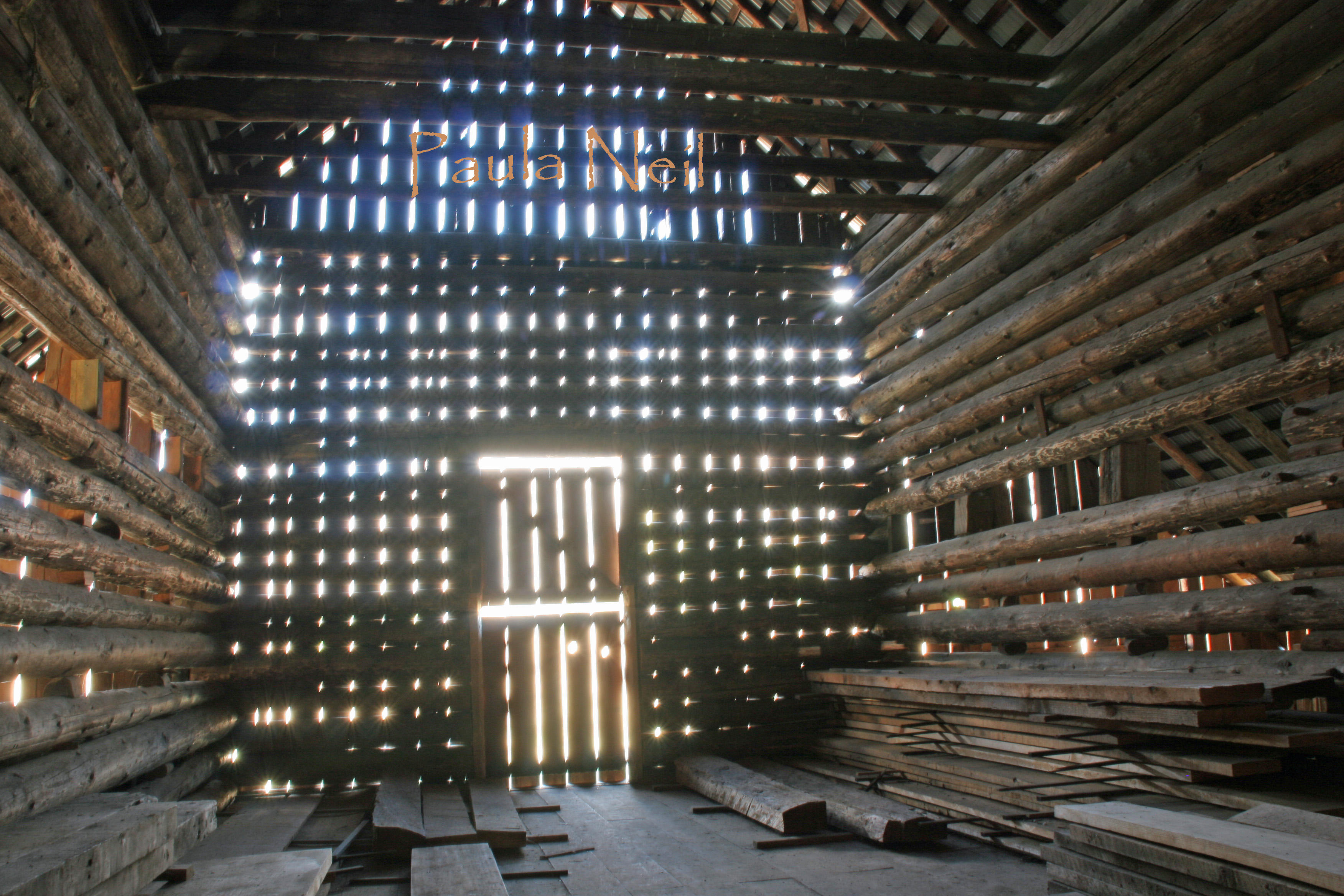 Foresta Barn light