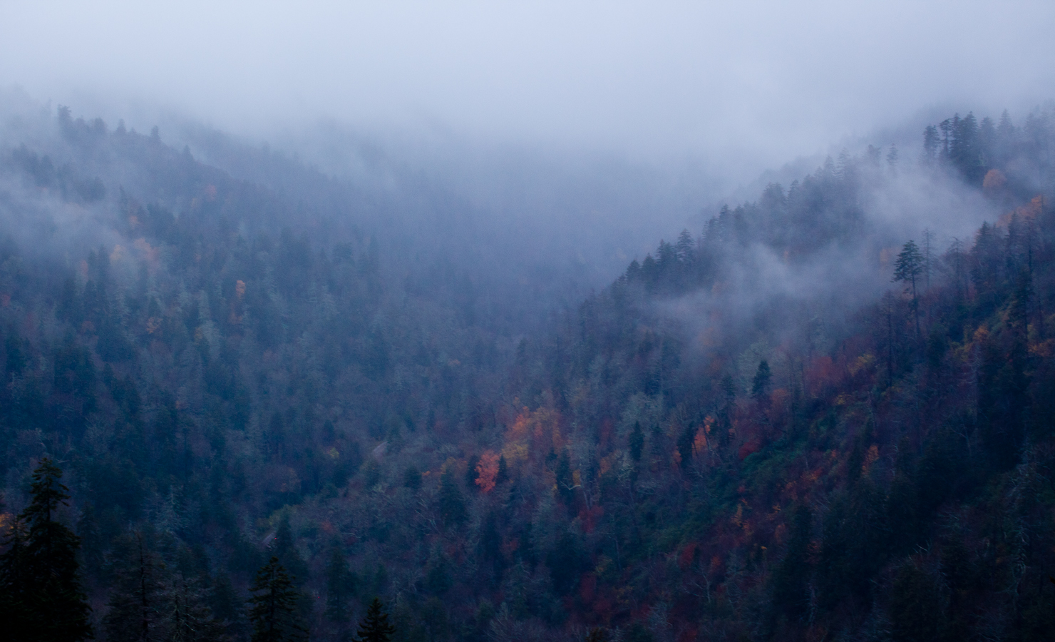IMG_3693 2011 Gatlinburg.jpg