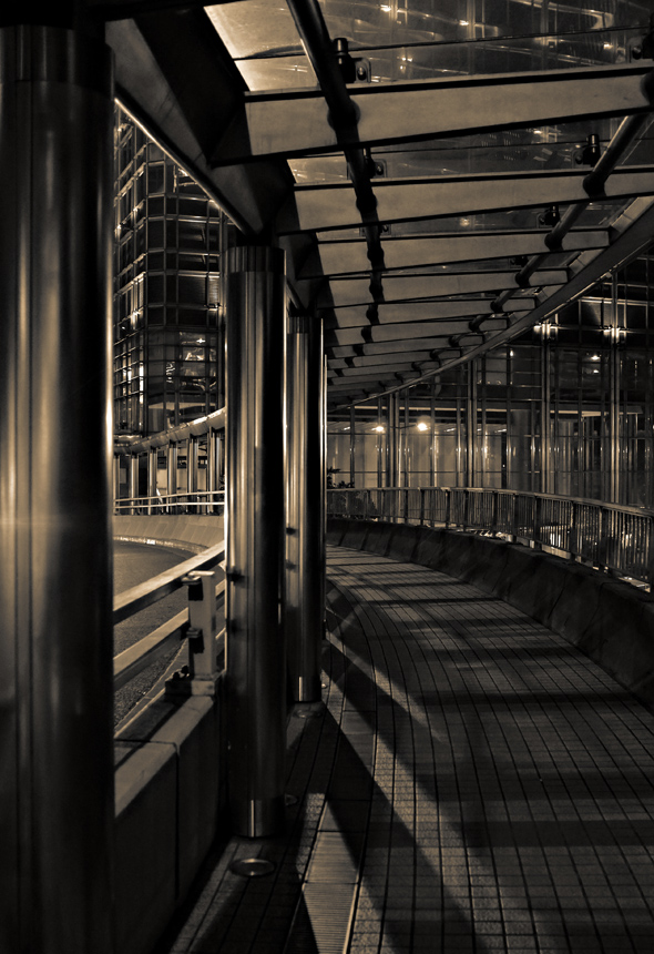 the empty cage