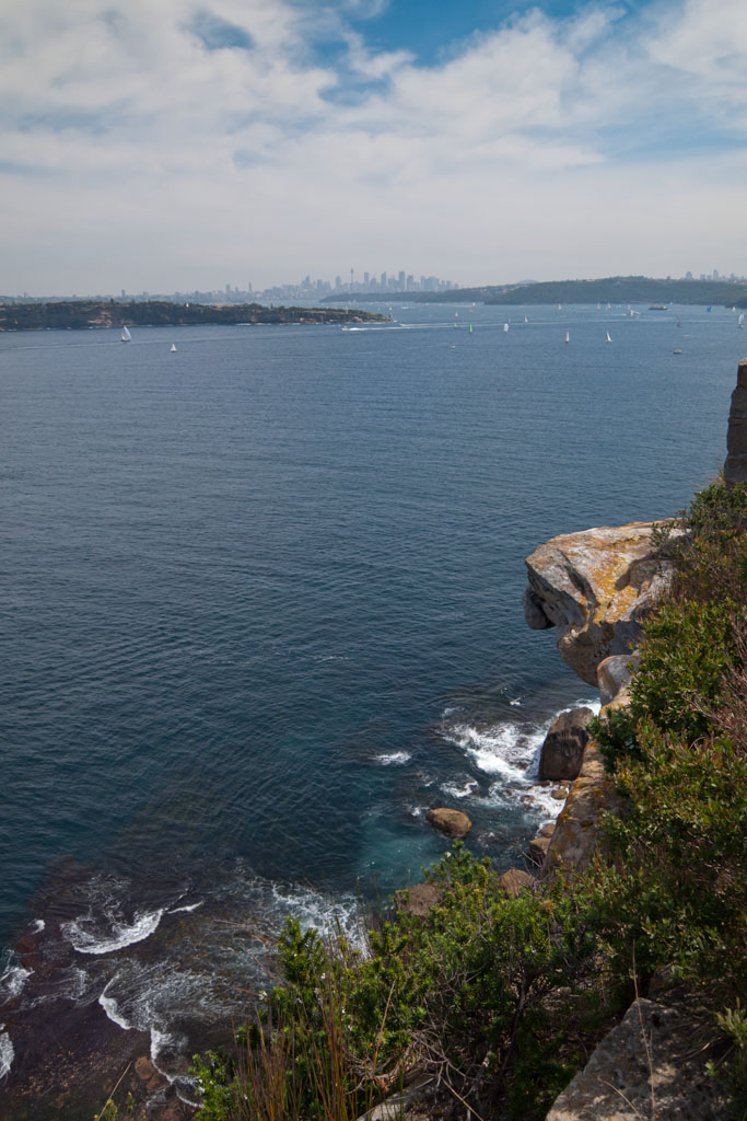 Sydney city and harbor from North Head<p>PA220177