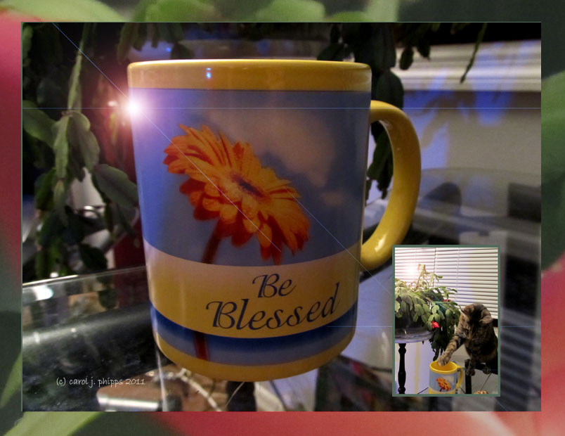 A Favorite Cup