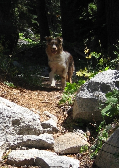 Skye Lea on a Mountain Play