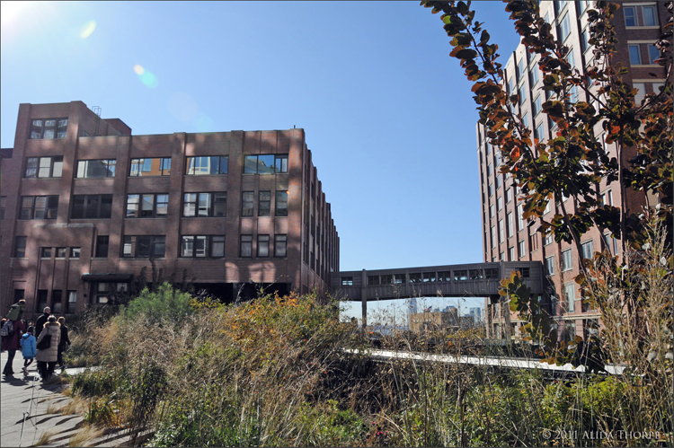 high line 3