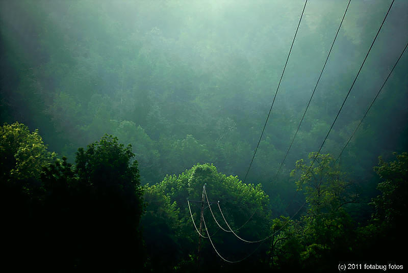 A Line In The Fog