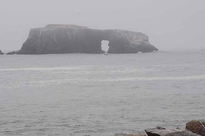 ...from Goat Rock State Beach,CA