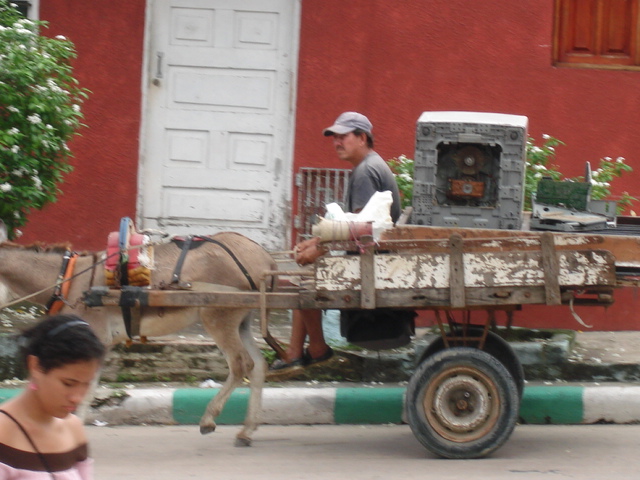 DSC03730.JPG