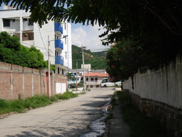 DSC03447.JPG