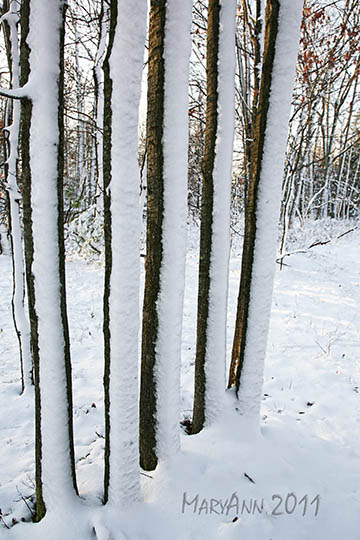 Pocono Snow 3190.jpg