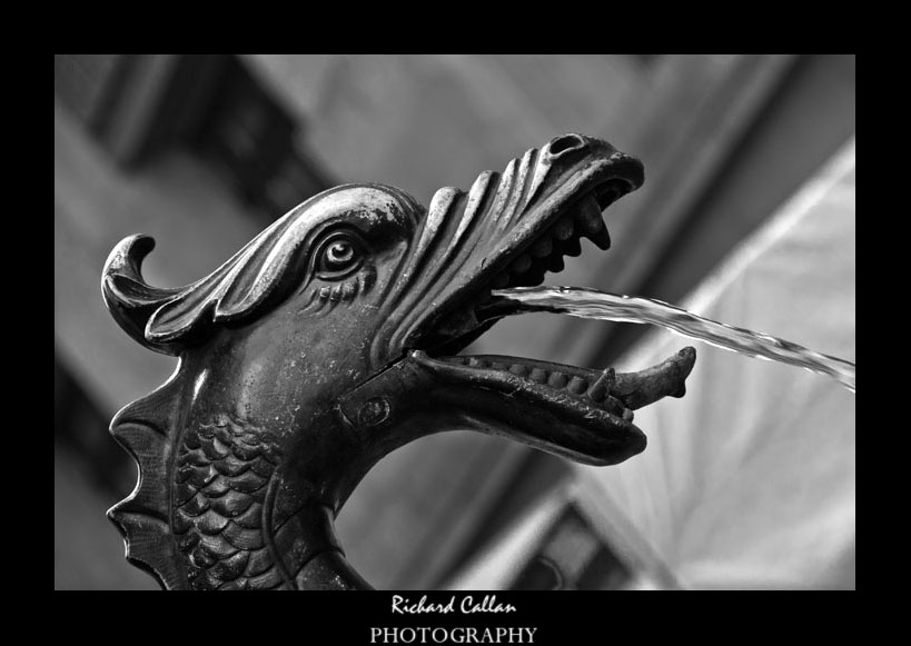 DSC_3291b.jpg