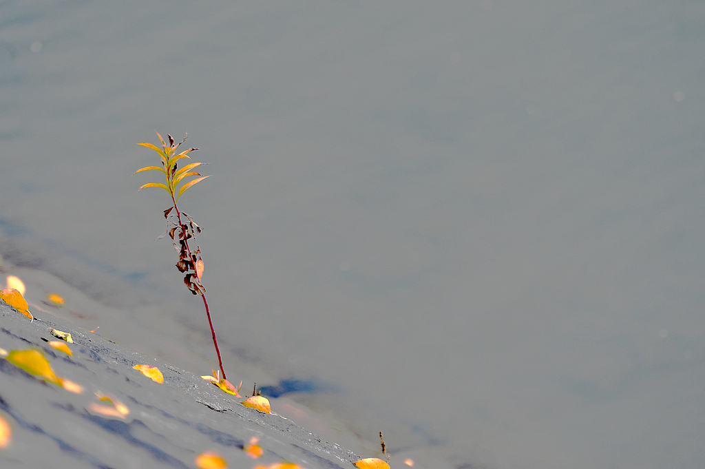 DSC_0756pbase.jpg