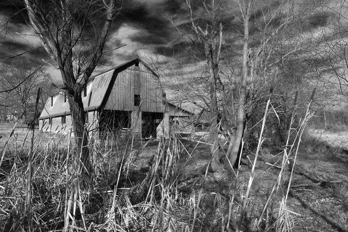 P1030813a.jpg