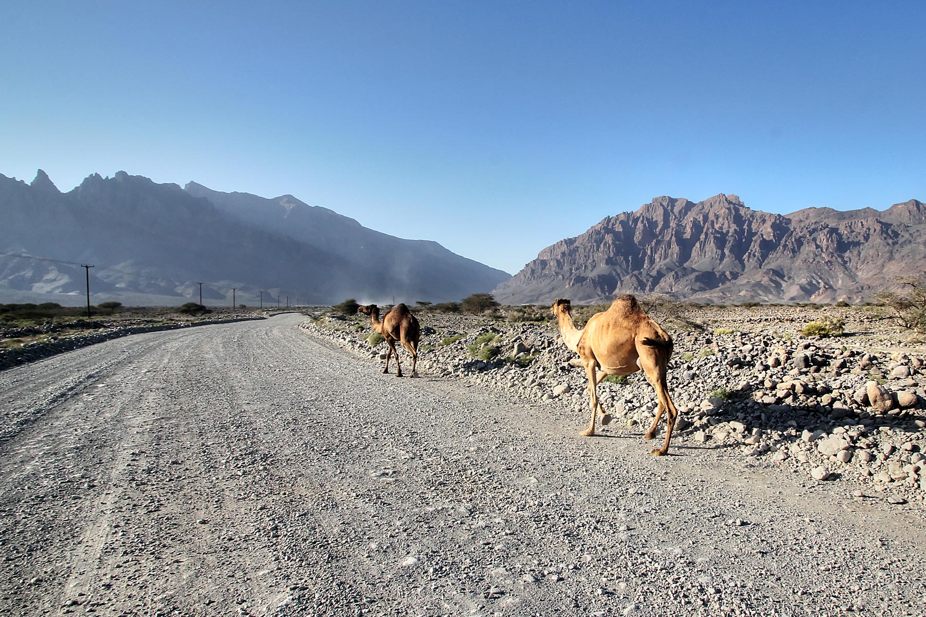 Wadi Mistal 54