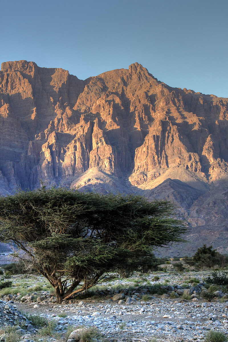 Wadi Mistal 57