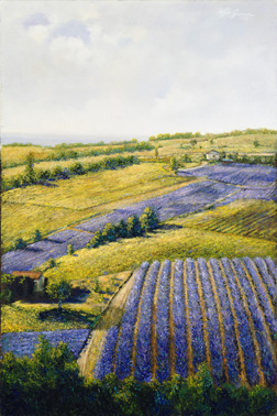 White-Spunner - Lavender Fields.jpg