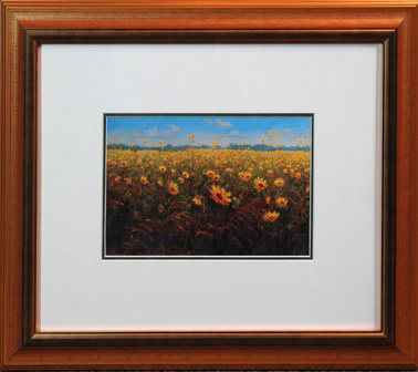 White-Spunner - Sunflower Field.jpg