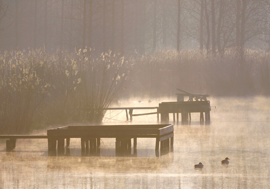 Early morning