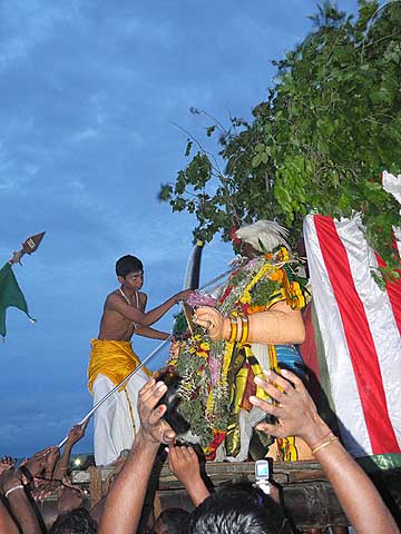 With the symbolic killing of the cock the  demon is finally completely defeated. Skanda Sashti at Tiruchendur.