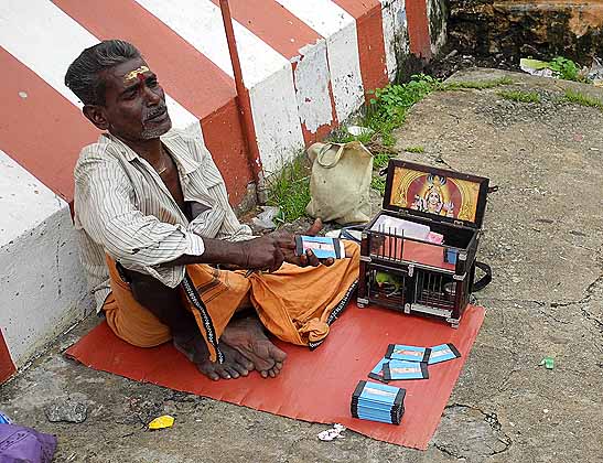 Fortune teller in Nagercoil, Tamil Nadu. What will the cards tell us?