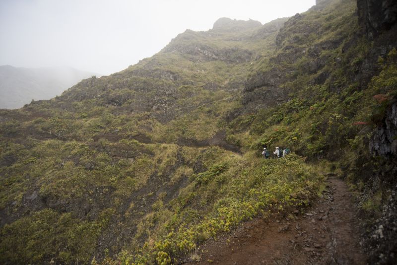 On the trail