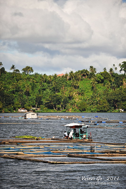 Sampaloc Lake D700_15429 copy.jpg