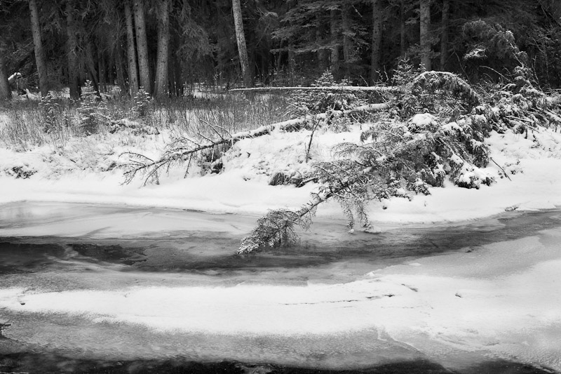 20111124_Banff_0018.jpg