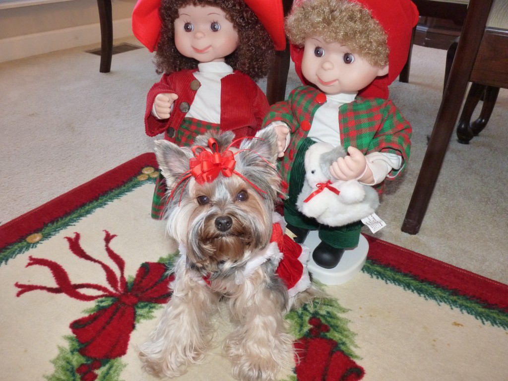 xmas2011 002 1024x768.JPG