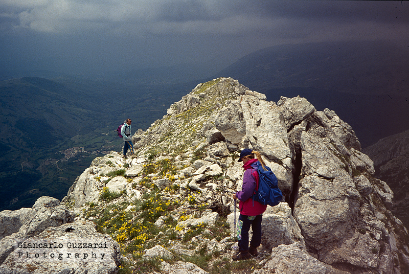 Ridge of the flowers