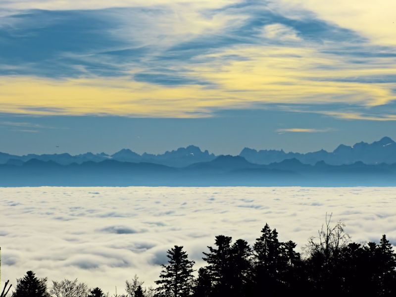 We are above the sea of fog...