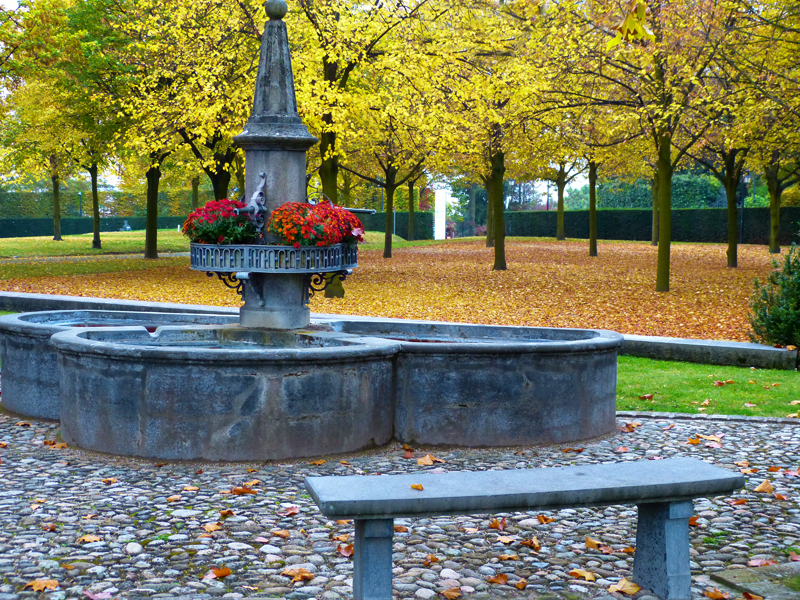 A cold autumn bench...