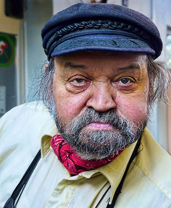  The roasted chestnuts vendor