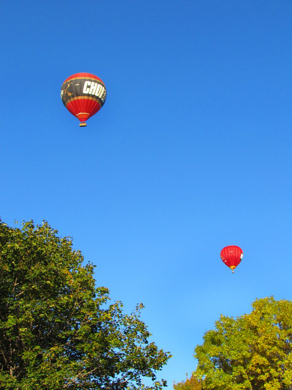 2 montgolfires dans mon jardin