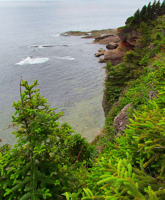 cte sud de l'ile Bonaventure