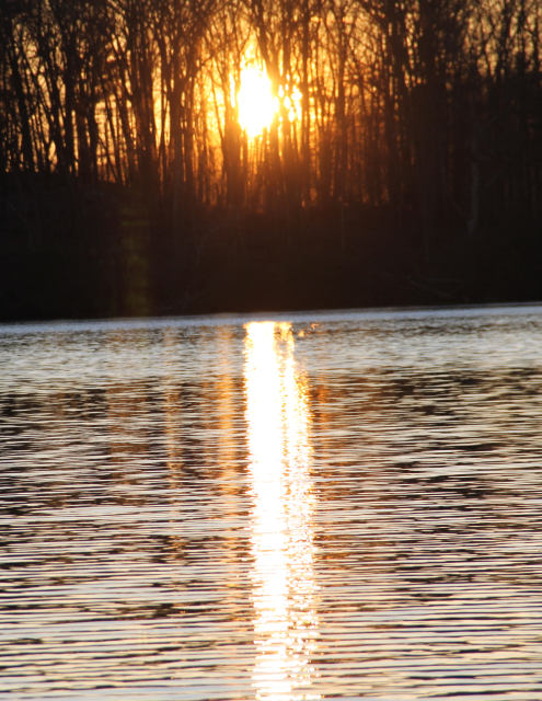 ir-111201__8045_17-24P.jpg